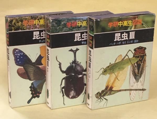 学研 昆虫III 学研 昆虫III 【公式通販】