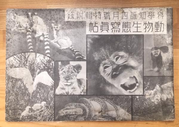 動物生態写真集 科学知識13巻4号附録 科学知識普及会編 南陽堂書店 古本 中古本 古書籍の通販は 日本の古本屋 日本の古本屋