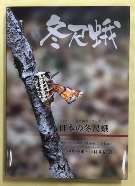 日本の冬尺蛾(中島秀雄・小林秀紀) / 古本、中古本、古書籍の通販は