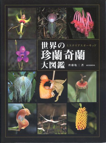 世界の珍蘭奇蘭大図鑑 ミステリアスオーキッド 齊藤亀三 著 南陽堂書店 古本 中古本 古書籍の通販は 日本の古本屋 日本の古本屋 世界の珍蘭奇蘭大図鑑 ミステリアスオーキッド 齊藤亀三 著 南陽堂書店 古本 中古本 古書籍の通販は 日本の古本屋 日本の古本屋