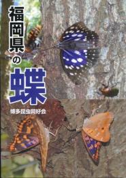 福岡県の蝶
