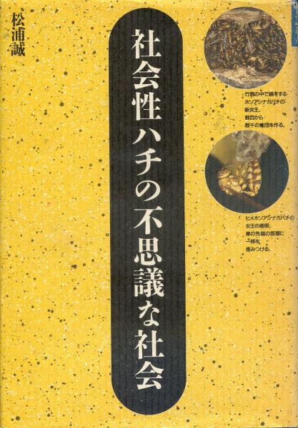 社会性ハチの不思議な社会 松浦誠 著 南陽堂書店 古本 中古本 古書籍の通販は 日本の古本屋 日本の古本屋