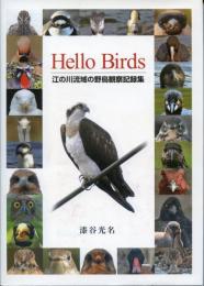 Hello birds