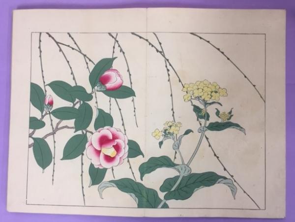 四季の花 春の部 一 二 酒井抱一 ほか画 山田直三郎 編 古本 中古本 古書籍の通販は 日本の古本屋 日本の古本屋