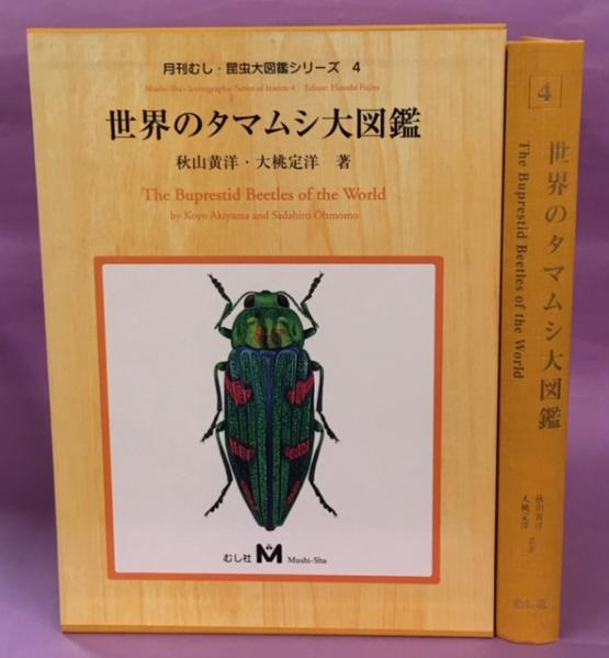 世界のタマムシ大図鑑 秋山黄洋・大桃定洋（むし社） 世界のタマムシ大図鑑(大桃定洋, 秋山黄洋 著) / 古本、中古本、古書籍
