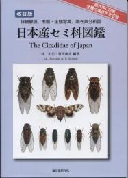 日本産セミ科図鑑 : 詳細解説、形態・生態写真、鳴き声分析図