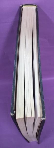 世界のオサムシ大図鑑(井村有希, 水沢清行 共著) / 古本、中古本