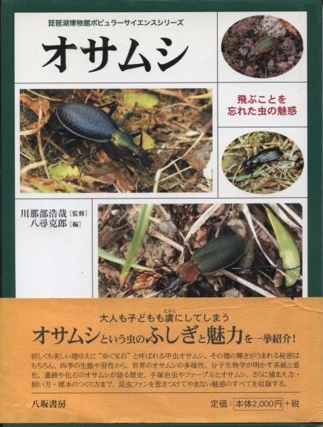 オサムシ 飛ぶことを忘れた虫の魅惑 川那部浩哉 監修 八尋克郎 編 南陽堂書店 古本 中古本 古書籍の通販は 日本の古本屋 日本の古本屋 オサムシ 飛ぶことを忘れた虫の魅惑 川那部浩哉 監修 八尋克郎 編 南陽堂書店 古本 中古本 古書籍の通販は 日本の古本屋 日本の古本屋