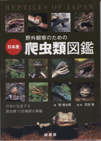 野外観察のための日本産両生類図鑑 関慎太郎 著 松井正文 監修 古本 中古本 古書籍の通販は 日本の古本屋 日本の古本屋