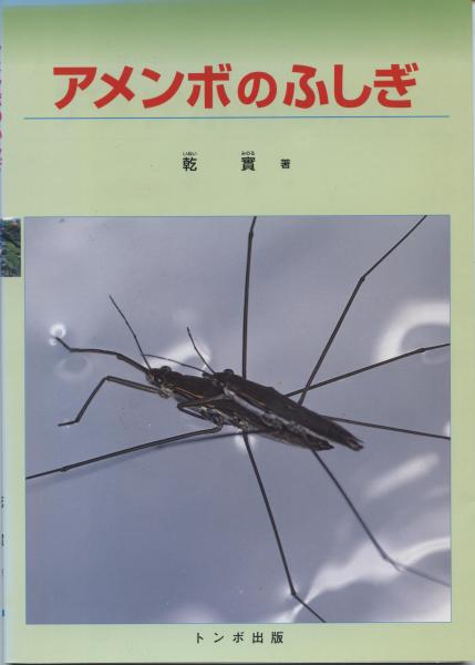 アメンボのふしぎ(乾實) / 南陽堂書店 / 古本、中古本、古書籍の