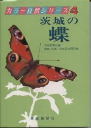 茨城の蝶