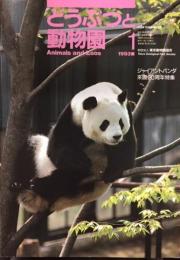 どうぶつと動物園　ジャイアントパンダ来園20周年特集　1993年1月号