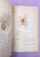 蜘蛛　附蜘蛛類検索表・下伊那産目録