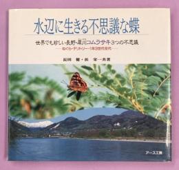 水辺に生きる不思議な蝶 : 世界でも珍しい長野・犀川コムラサキの不思議 ねぐら・テリトリー・1年3世代交代