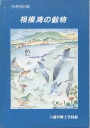 相模湾の動物 : 秋季特別展