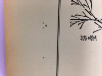 高松竹譜