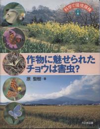 作物に魅せられたチョウは害虫?