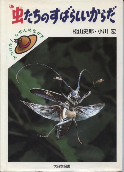 2025年新作アイテムが続々登場 虫たちのすばらしいからだ(松山史郎, 南陽堂 / 文と写真) 小川宏 その他
