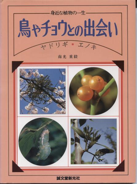 鳥やチョウとの出会い ヤドリギ エノキ 南光重毅 写真と解説 南陽堂書店 古本 中古本 古書籍の通販は 日本の古本屋 日本の古本屋 鳥やチョウとの出会い ヤドリギ エノキ 南光重毅 写真と解説 南陽堂書店 古本 中古本 古書籍の通販は 日本の古本屋 日本の古本屋