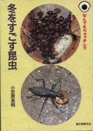冬をすごす昆虫