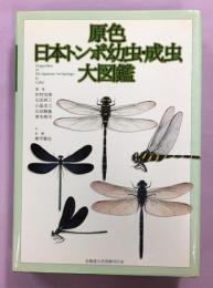 原色日本トンボ幼虫・成虫大図鑑(杉村光俊 ほか著) / 古本、中古本、古