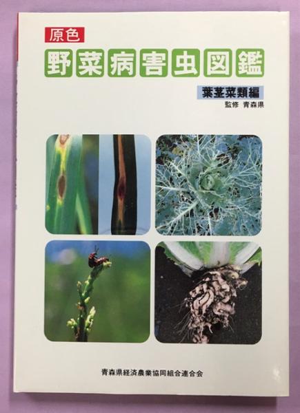 原色野菜病害虫図鑑 根菜類編 葉茎菜類編 果菜類 葉茎菜類 続 監修 青森県 古本 中古本 古書籍の通販は 日本の古本屋 日本の古本屋 原色野菜病害虫図鑑 根菜類編 葉茎菜類編 果菜類 葉茎菜類 続 監修 青森県 古本 中古本 古書籍の通販は 日本の古本屋 日本の古本屋