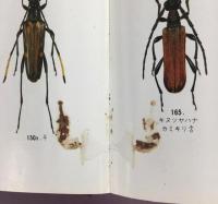 日本産カミキリ大図鑑(日本鞘翅目学会) / 古本、中古本、古書籍の通販