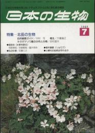 日本の生物３(７)北岳の生物