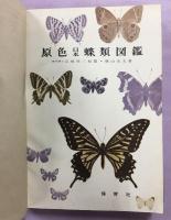 原色世界蝶類図鑑
