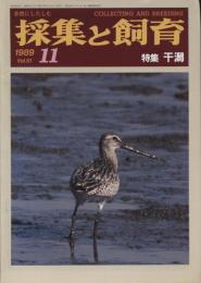 採集と飼育51巻11号　特集・干潟