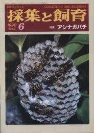 採集と飼育52巻6号　特集・アシナガバチ