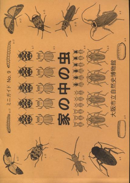 家の中の虫 宮武頼夫 南陽堂書店 古本 中古本 古書籍の通販は 日本の古本屋 日本の古本屋