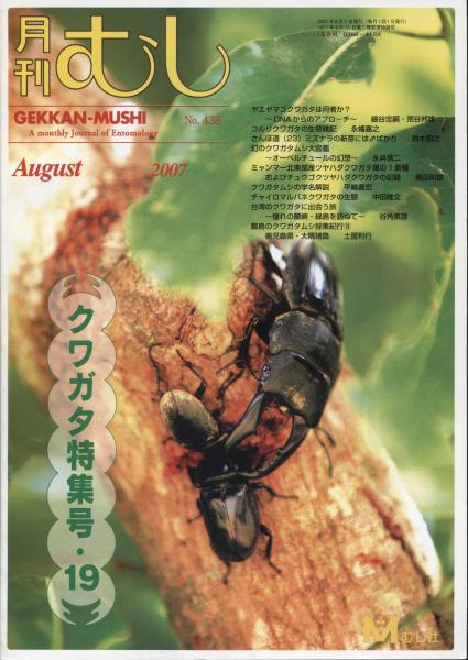 月刊むし438号 クワガタ特集号19 / 古本、中古本、古書籍の通販は