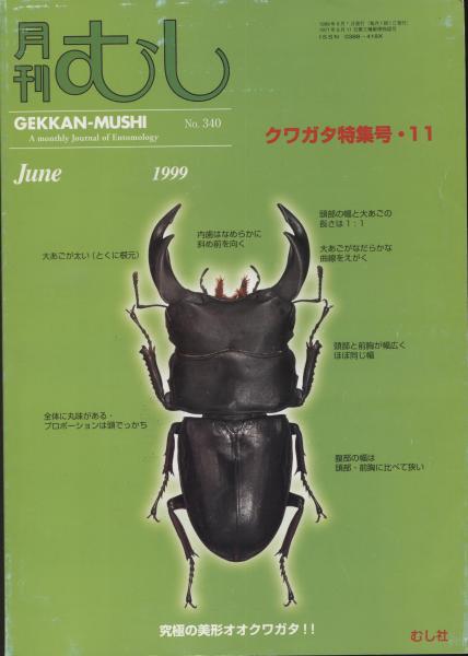 フラワーオブライフ 月刊むし オオクワガタ、クワガタ特集号 1986年 