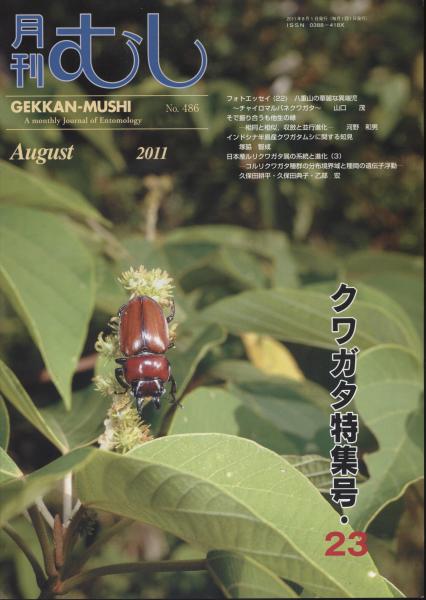 月刊むし486号 クワガタ特集号23 | むし社 | ¥1,257 - 日本の古本屋 月刊むし486号 クワガタ特集号23 | むし社 | ¥1,257 - 日本の古本屋