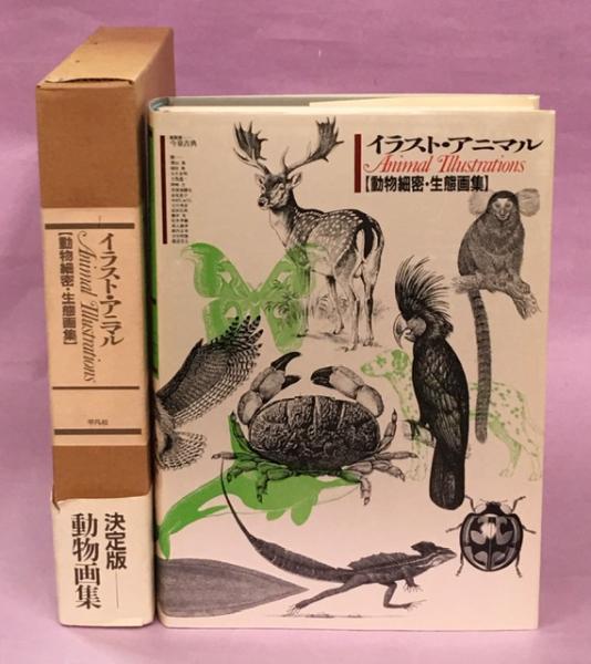 イラスト アニマル 動物細密 生態画集 今泉吉典 平凡社 送600