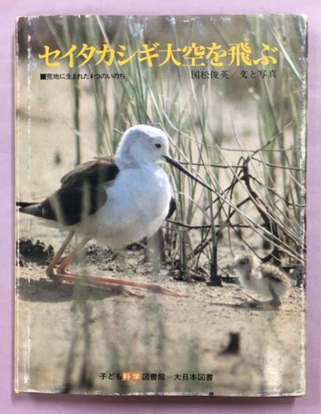 写真集日本のすみれ(浜栄助 編著) / 南陽堂書店 / 古本、中古本