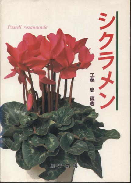シクラメン 工藤忠 編著 南陽堂書店 古本 中古本 古書籍の通販は 日本の古本屋 日本の古本屋