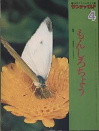 サンチャイルド　10巻1号　もんしろちょう