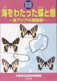 海をわたった蝶と蛾 : 東アジアの鱗翅類 : 大阪市立自然史博物館第26回特別展解説書
