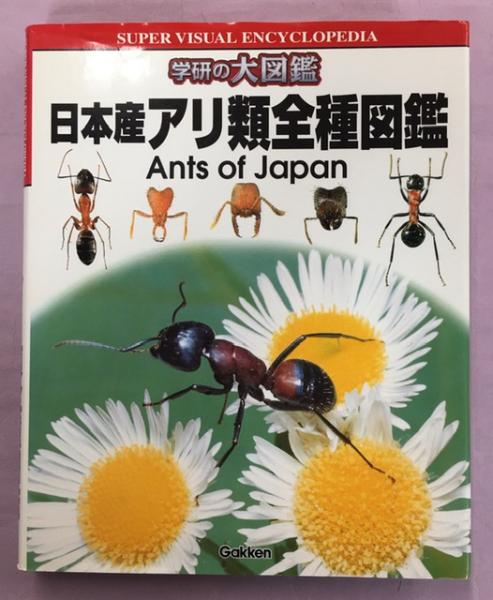 日本産アリ類全種図鑑 | 日本産アリ類デ-タベ-スグル-プ |本