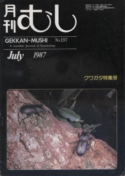 月刊むし197号 クワガタ特集号1 / 古本、中古本、古書籍の通販は「日本
