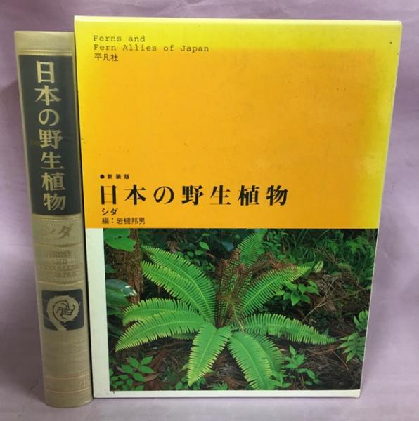 日本の野生植物 シダ