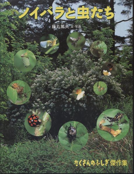 ノイバラと虫たち(藤丸篤夫 文・写真) / 古本、中古本、古書籍の通販は 