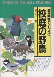 校庭の野鳥