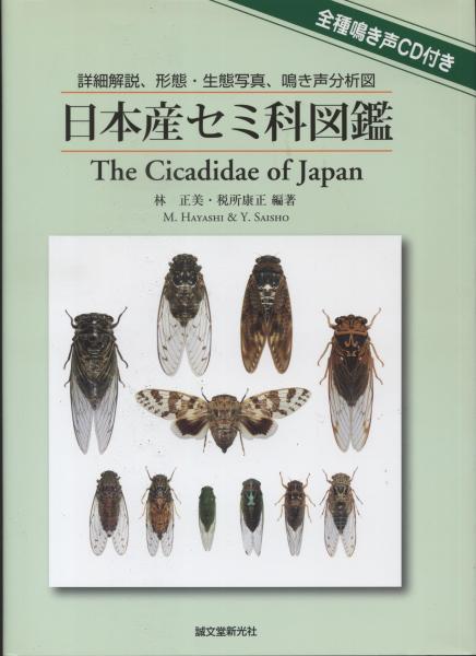 日本産セミ科図鑑: 中古 | 林正美 | 古本の通販ならネットオフ