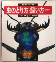 虫のとり方・飼い方