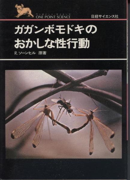 ガガンボモドキのおかしな性行動 R ソーンヒル 原著 日経サイエンス編集部 編 南陽堂書店 古本 中古本 古書籍の通販は 日本の古本屋 日本の古本屋 ガガンボモドキのおかしな性行動 R ソーンヒル 原著 日経サイエンス編集部 編 南陽堂書店 古本 中古本 古書籍の通販は 日本の古本屋 日本の古本屋