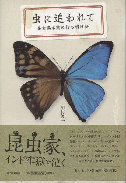 虫に追われて 昆虫標本商の打ち明け話 川村俊一 著 古本 中古本 古書籍の通販は 日本の古本屋 日本の古本屋