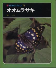 科学のアルバム78　オオムラサキ